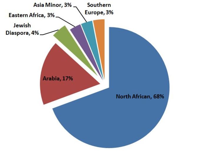 Arabic Genetics DNA analysis proves Arabs aren’t entirely Arab | Multicultural Meanderings