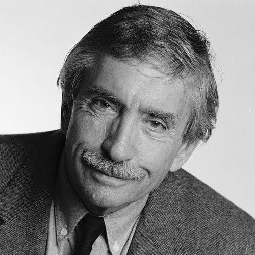 Playwright Edward Albee, Who Changed And Challenged Audiences, Dies At 88