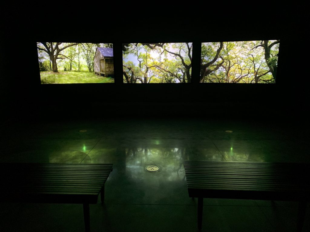 Video by Dawoud Bey at the Historic New Orleans Collection. Photo by Ben Davis.